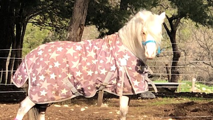 Centre équestre Le Haras des Oliviers, Centre Equestres à Éguilles
