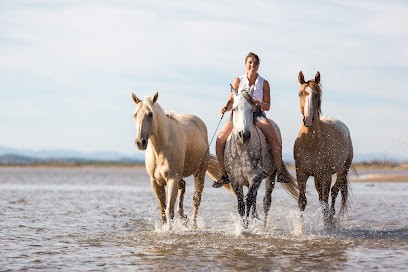 Equideo, Centre Equestres à Quarante