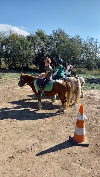 Ranch Des Pitchounets De Touron, Centre Equestres à La Fare-les-Oliviers