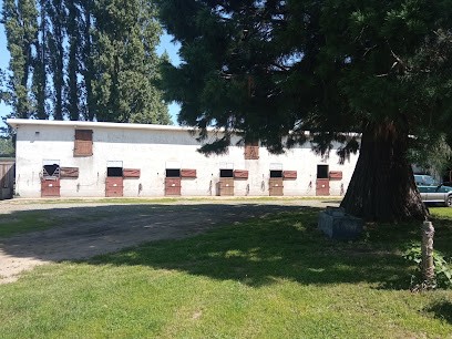 Stud De La Touchette, Centre Equestres à Ruaudin