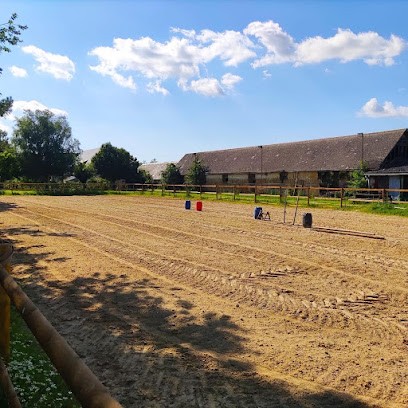 Ferme du bois de la ville, Pension pour Chevaux à Morienne