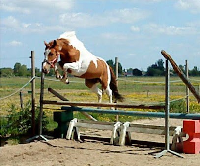 poney club des Aigrettes, Centre Equestres à Soullans