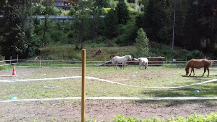 L'écurie De Bérengère, Centre Equestres à Morzine