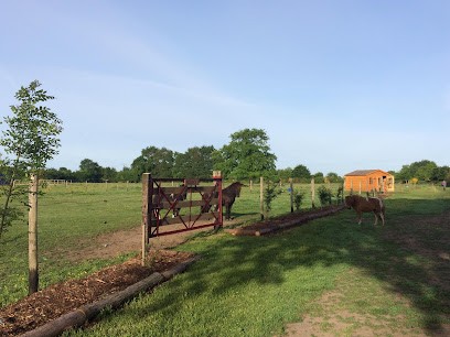 L'Écurie Du Grand Chêne, Centre Equestres à Saint-Philbert-de-Bouaine