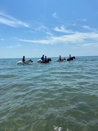 Les Poneys Vermeilles, Centre Equestres à Port-la-Nouvelle