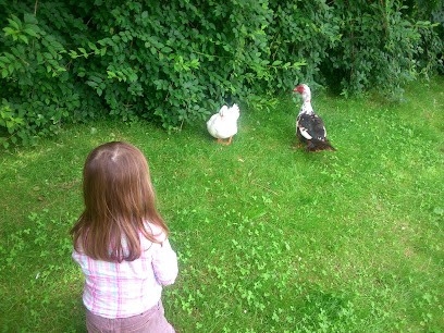 Écurie Les Coudriers, Centre Equestres à Saint-Gratien