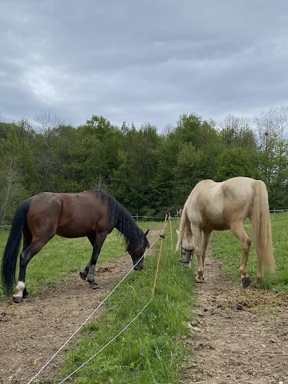 Ju’Stable, Pension pour Chevaux à Allevard