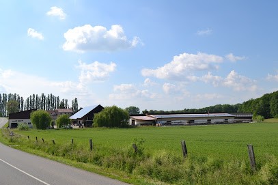 Ecurie Du Neuhof, Pension pour Chevaux à Folgensbourg