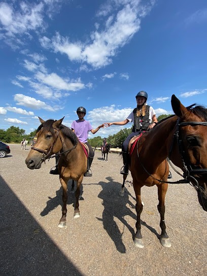 Eurl Ecole D'equitation De Reding, Centre Equestres à Réding