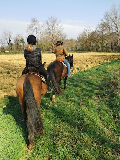 Pilgrim Trail Ranch, Pension pour Chevaux à Pouylebon