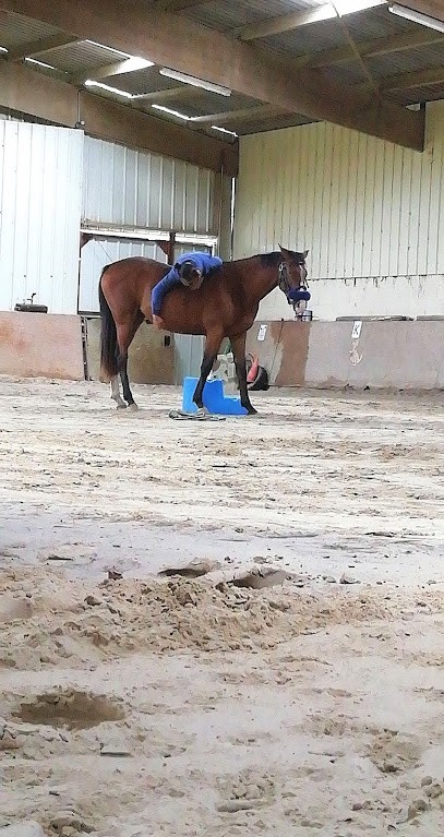 Centre Équestre D'Evann, Centre Equestres à Lavau-sur-Loire