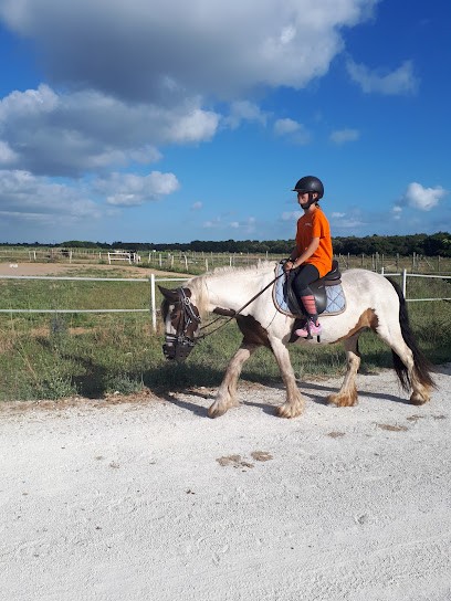 Centre Équestre Equipassion, Centre Equestres à La Flotte