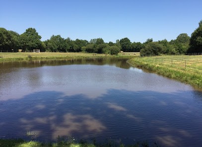 Ecurie Esperluette, Centre Equestres à Dompierre-sur-Yon