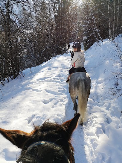CENTRE EQUESTRE DU MONT BLANC, Centre Equestres aux Houches