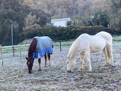 Écuries Des Thal Pension Pour Chevaux à Montélimar