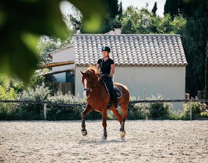Écurie du Castillon, Centre Equestres à Paradou