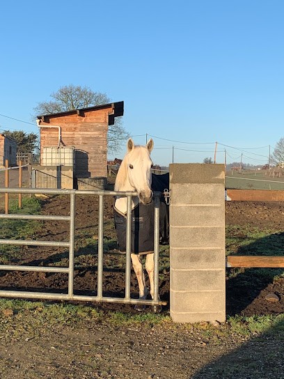 Les Ecuries du Chot, Pension pour Chevaux à Escosse