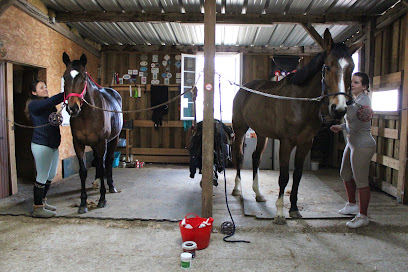 Les Écuries De Myre Pension Pour Chevaux à Béruges