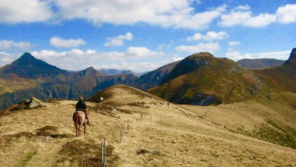 Domaine De Viaye, Centre Equestres à Saint-Paulien