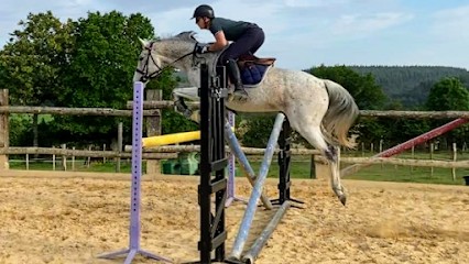 Écurie Les't (association la cavalerie Les’T), Centre Equestres à Mont-Saint-Jean