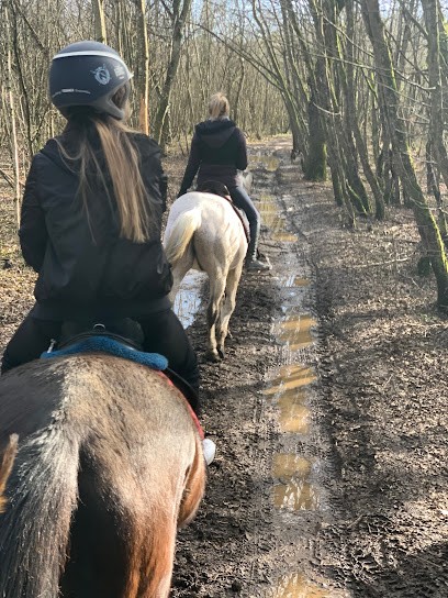 Horseland, Centre Equestres à Saint-Baudille-de-la-Tour