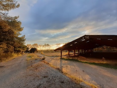 Mas Di Rosso, Centre Equestres à Saint-Drézéry