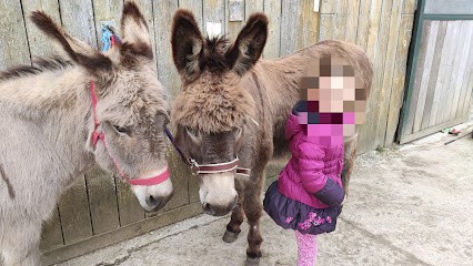 Aux Ânes Etc, Centre Equestres à Saudrupt