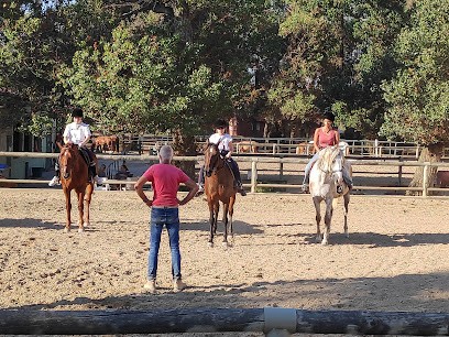 U D S I S, Centre Equestres à Saint-Cyprien