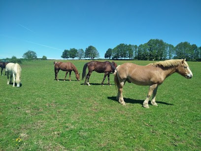 Les Paladins Saint Agnan, Centre Equestres au Châtenet-en-Dognon