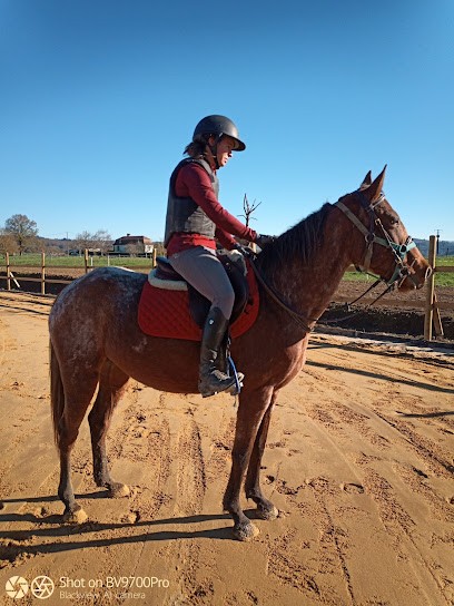 LES ECURIES DES TOURS, Centre Equestres à Saint-Laurent-les-Tours