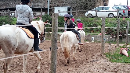 Les Écuries De Sarrabasse, Centre Equestres à Aast