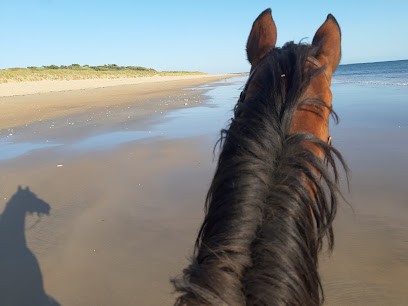 Eperon Dolusien, Centre Equestres à Dolus-d'Oléron