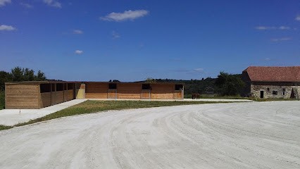 Bala Aurore, Pension pour Chevaux à Vielleségure