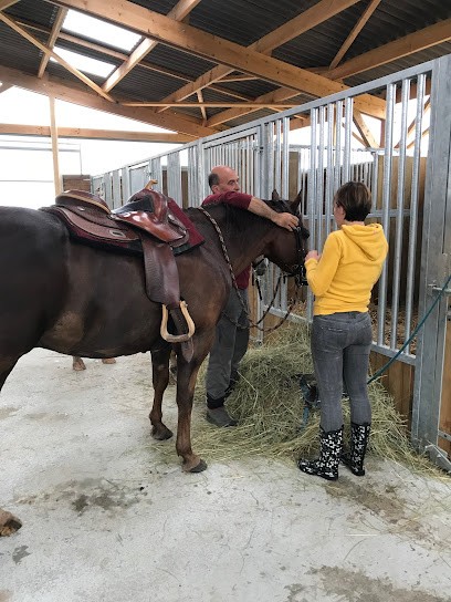 Cluny Horse Valley, Centre Equestres à Cortambert