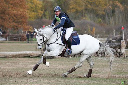 Ecurie Royaldenfer, Centre Equestres à Froidefontaine