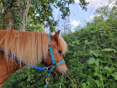 Equestrian Center Les Cyclamens, Centre Equestres à Héry-sur-Alby