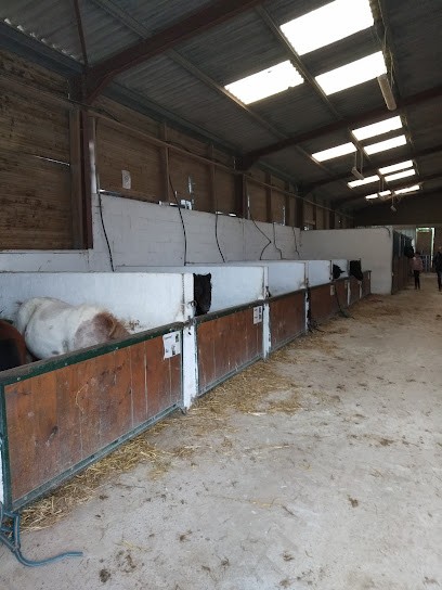 Plouvorn Equitation, Centre Equestres à Plouvorn