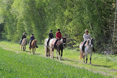 Trotte La Vivelle Tourism Center Equestre - Pony Club, Centre Equestres à Guerfand