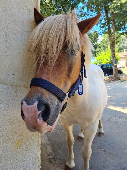 Les Ecuries Of Clos Fauré, Centre Equestres à Tourtoirac