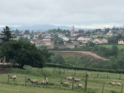 Ecurie Du Charmillon, Pension pour Chevaux à Sainte-Consorce