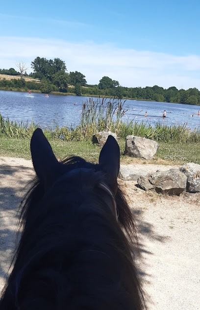 Ferme équestre du berger, Centre Equestres à Saint-Seine