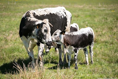 Association Educational Farm And Equestrian, Centre Equestres à Saint-Front
