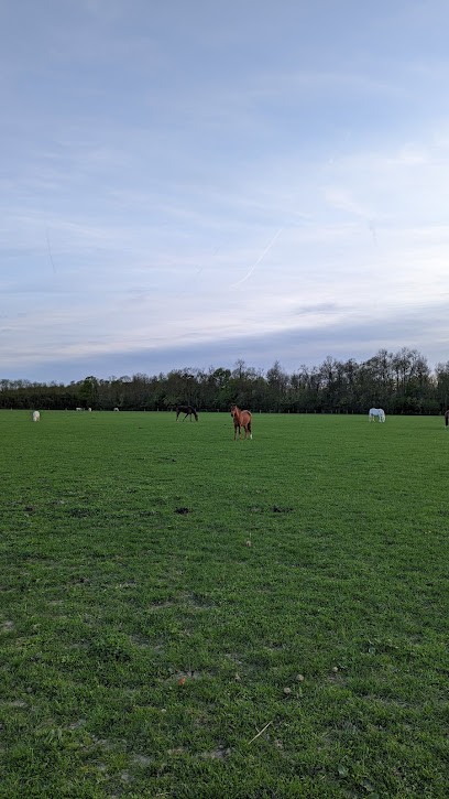 Doutrelant Denis, Centre Equestres à Soignolles-en-Brie