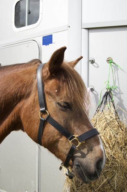 Equestrian Center De Coat Congar Roupp Catherine, Centre Equestres à Morlaix