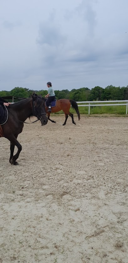 La Joyeuse Lune, Centre Equestres à Montbard