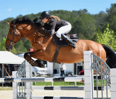 Centre équestre Digne les Bains, Centre Equestres à Digne-les-Bains