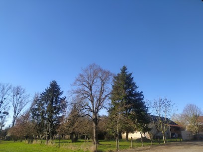 ECURIE MANON ET DIOGO PINTO, Centre Equestres à La Ferté-Gaucher