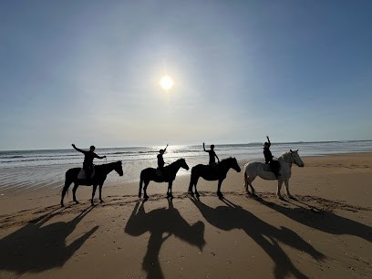 Center Equestre Des Dunes Erdeven, Centre Equestres à Erdeven
