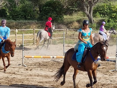 Stalls De Taillevent, Centre Equestres à Moussan