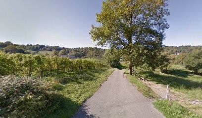 Equestrian Center Febus, Centre Equestres à Lasseubetat
